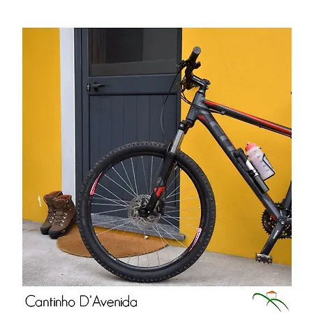 Cantinho D'avenida * Velas