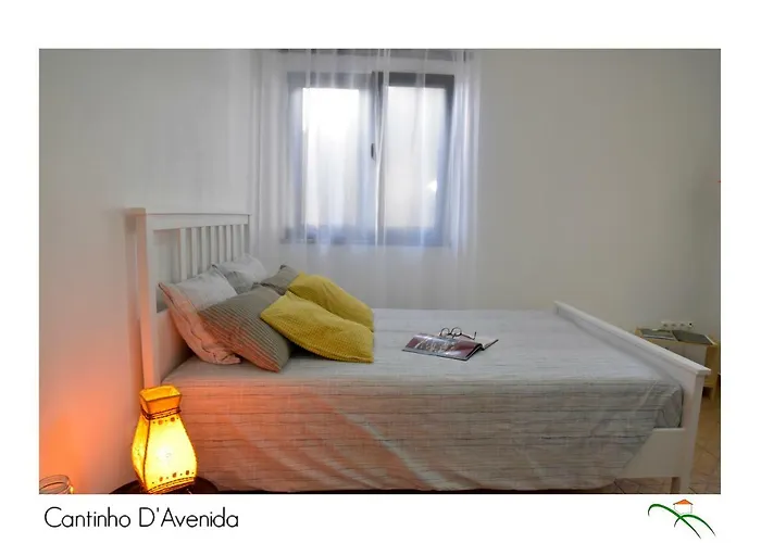Appartement Cantinho D'avenida Velas